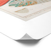 Great Barrier Reef Fishin Coral, Art Print (Hoek)