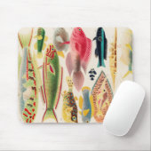 Great Barrier Reef Fishing Australia Muismat (Met muis)