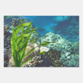 Great Barrier Reef Inpakpapier Vel (Voorkant)