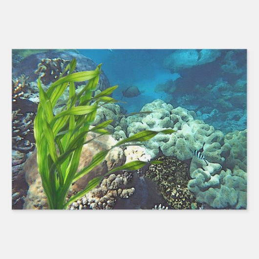 Great Barrier Reef Inpakpapier Vel (Voorkant)