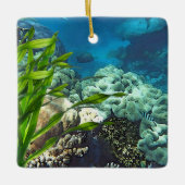 Great Barrier Reef Keramisch Ornament (Voorkant)