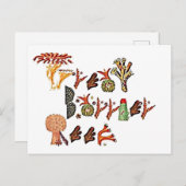 Great Barrier Reef, Koral, Briefkaart (Voorkant / Achterkant)