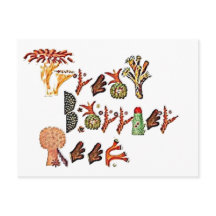 Great Barrier Reef, Koral,