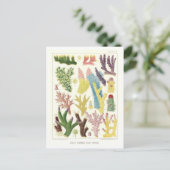 Great Barrier Reef Koralen Briefkaart (Staand voorkant)