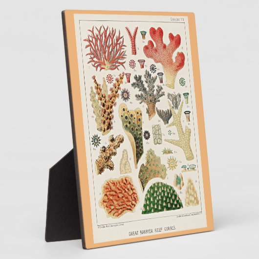 Great Barrier Reef Koralen Fotoplaat (Zijkant)