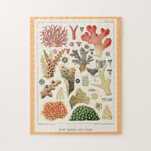 Great Barrier Reef Koralen Legpuzzel (Verticaal)