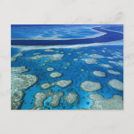 Great Barrier Reef Marine Park Queensland AU Briefkaart (Voorkant)