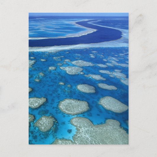 Great Barrier Reef Marine Park Queensland AU Briefkaart (Voorkant)