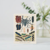 Great Barrier Reef Molluscs en Planari Briefkaart (Staand voorkant)