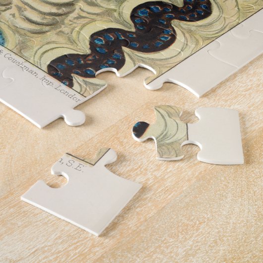 Great Barrier Reef Molluscs en Planari Legpuzzel (Zijkant)