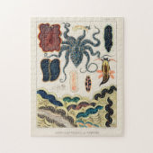 Great Barrier Reef Molluscs en Planari Legpuzzel (Verticaal)