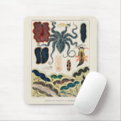 Great Barrier Reef Molluscs en Planari Muismat (Met muis)