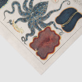  Great Barrier Reef Molluscs en Planari Tissuepapier (Detail)