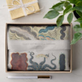  Great Barrier Reef Molluscs en Planari Tissuepapier (Geschenk)