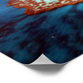 Great Barrier Reef Poster (Hoek)