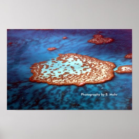 Great Barrier Reef Poster (Voorkant)