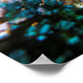 Great Barrier Reef Poster (Hoek)