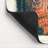  Great Barrier Reef Trepang of Bêche-de-Mer Muismat (Hoek)