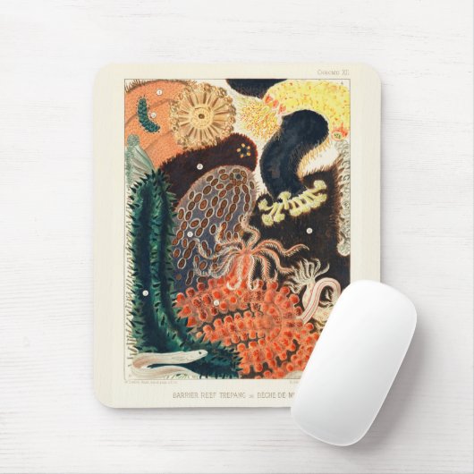  Great Barrier Reef Trepang of Bêche-de-Mer Muismat (Met muis)