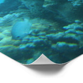 Great Barrier Reef Turtle Poster (Hoek)