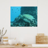 Great Barrier Reef Turtle Poster (Keuken)
