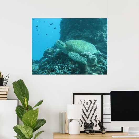 Great Barrier Reef Turtle Poster (Thuiskantoor)