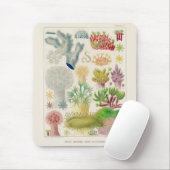  Great Barrier Reef van Australia Alcyonaria Muismat (Met muis)