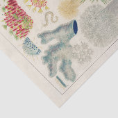 Great Barrier Reef van Australia Alcyonaria Tissuepapier (Detail)