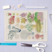 Great Barrier Reef van Australia Alcyonaria Tissuepapier (Craft)