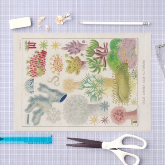  Great Barrier Reef van Australia Alcyonaria Tissuepapier (Craft)