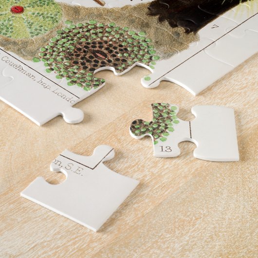  Great Barrier Reef van Australia Anemones Legpuzzel (Zijkant)