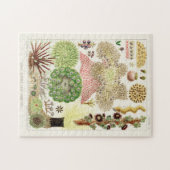  Great Barrier Reef van Australia Anemones Legpuzzel (Horizontaal)