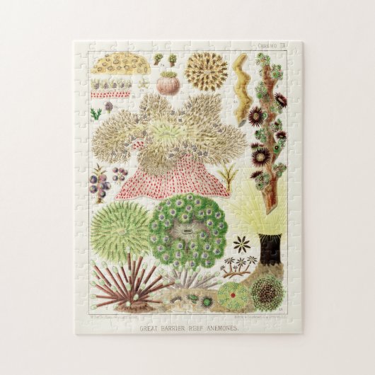  Great Barrier Reef van Australia Anemones Legpuzzel (Verticaal)