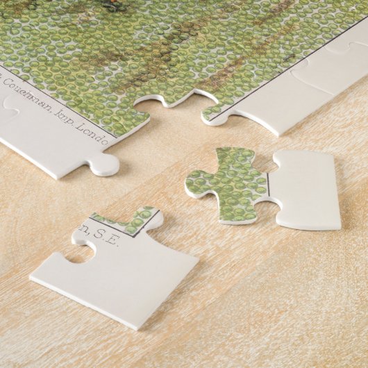 Great Barrier Reef van Australia Anemones Legpuzzel (Zijkant)