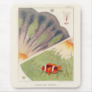  Great Barrier Reef van Australia Anemones Muismat