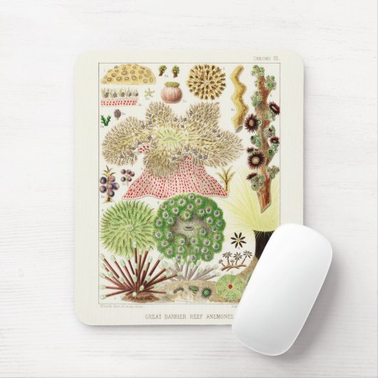 Great Barrier Reef van Australia Anemones Muismat (Met muis)
