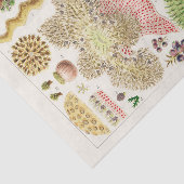 Great Barrier Reef van Australia Anemones Tissuepapier (Detail)