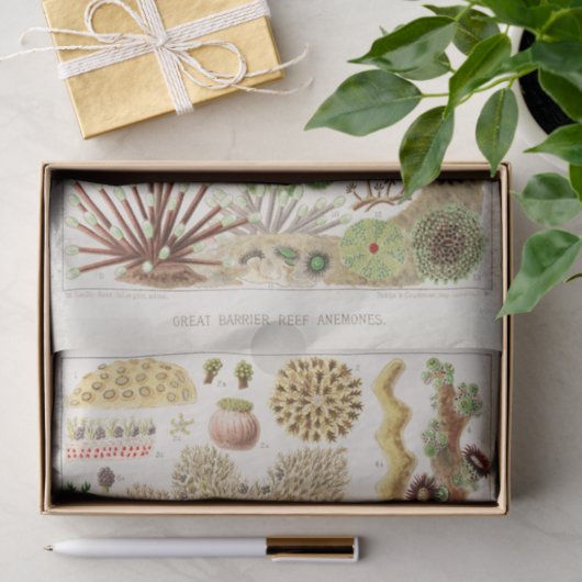  Great Barrier Reef van Australia Anemones Tissuepapier (Geschenk)