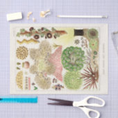 Great Barrier Reef van Australia Anemones Tissuepapier (Craft)