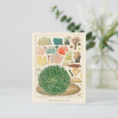  Great Barrier Reef van Australia Corals Briefkaart (Staand voorkant)