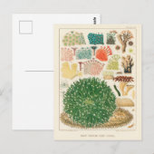  Great Barrier Reef van Australia Corals Briefkaart (Voorkant / Achterkant)
