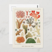 Great Barrier Reef van Australia Corals Briefkaart (Voorkant / Achterkant)