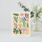  Great Barrier Reef van Australia Corals Briefkaart (Staand voorkant)