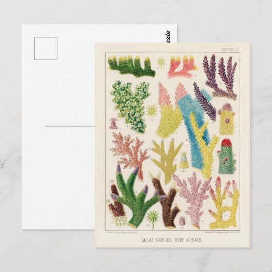  Great Barrier Reef van Australia Corals Briefkaart (Voorkant / Achterkant)