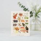  Great Barrier Reef van Australia Corals Briefkaart (Staand voorkant)