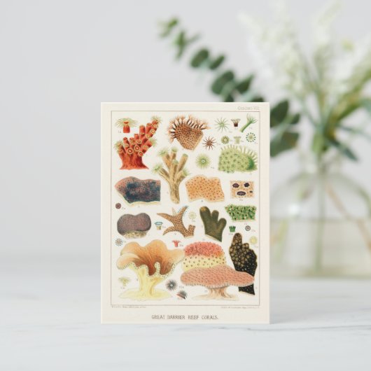 Great Barrier Reef van Australia Corals Briefkaart (Staand voorkant)