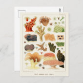  Great Barrier Reef van Australia Corals Briefkaart (Voorkant / Achterkant)