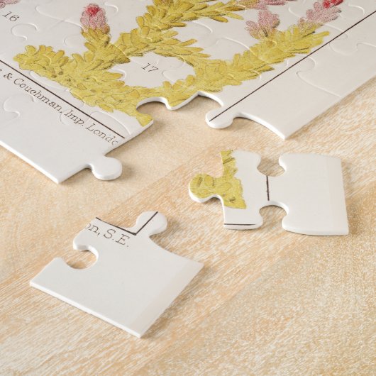 Great Barrier Reef van Australia Corals Legpuzzel (Zijkant)