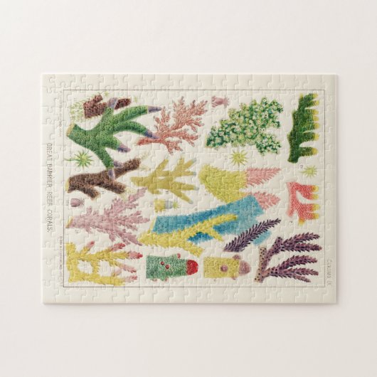  Great Barrier Reef van Australia Corals Legpuzzel (Horizontaal)