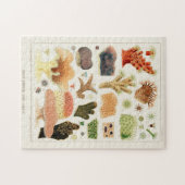  Great Barrier Reef van Australia Corals Legpuzzel (Horizontaal)